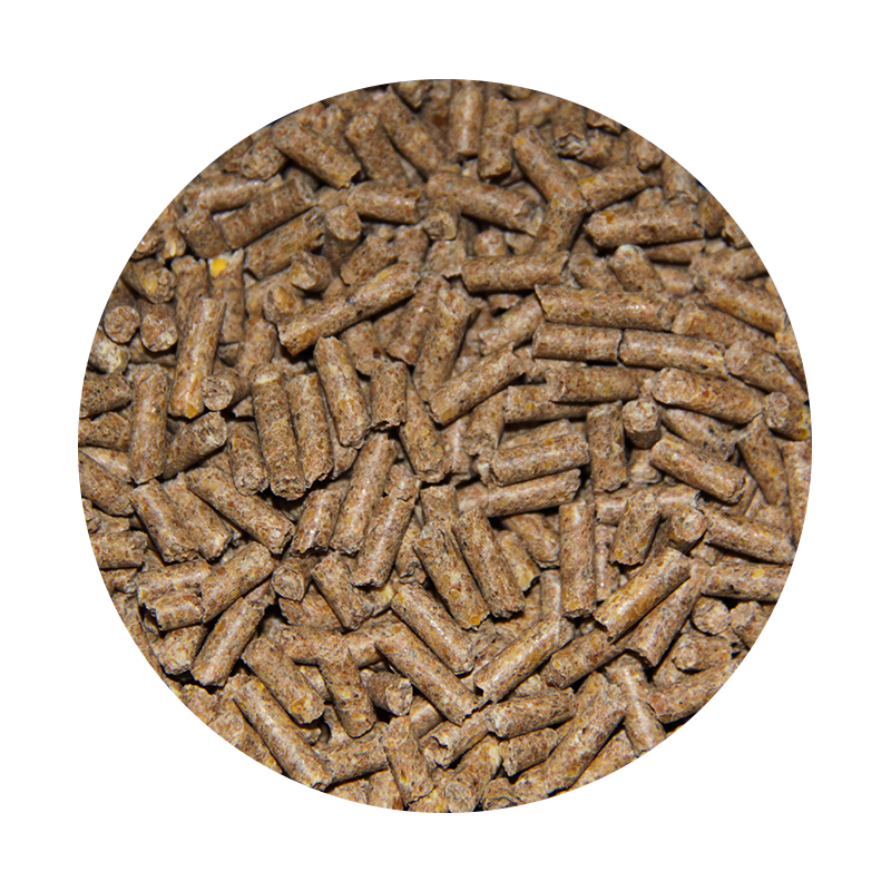 Fasi-crescita-bovini-vitelli