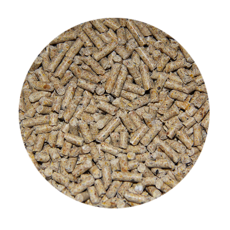 Fasi-crescita-suini-ingrasso
