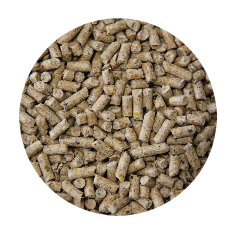 Fasi-crescita-suini-magroni