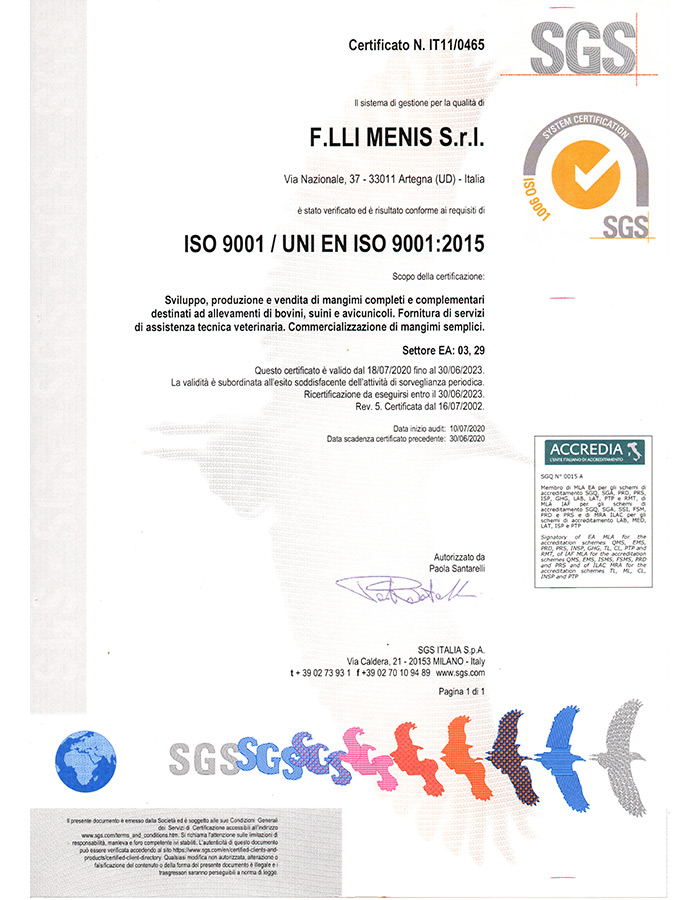 UNI EN ISO 9001:2015 UNI EN ISO 9001:2015